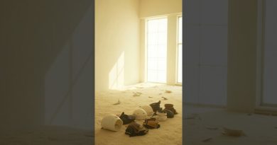 Explorez la salle de casse à Marseille qui fait sensation