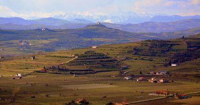 Occitanie, Toulouse, Montpellier, landscape, sea, mountain, vineyard, canal