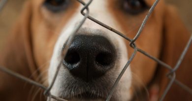 Exproprié pour construire la RN24 dans le Morbihan : il réclame 15 000€, la justice lui répond