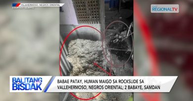 FCP : Discussions avec le Gouverneur lors de la visite de PBBM à Cebu