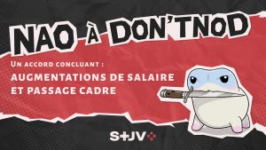 NAO 2025 : Rémunérations chez Don’t Nod – STJV