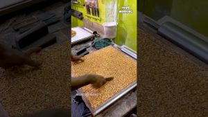 🍯🔥 Fabrication du Kadalai Mittai de Kovilpatti | Chikki aux cacahuètes