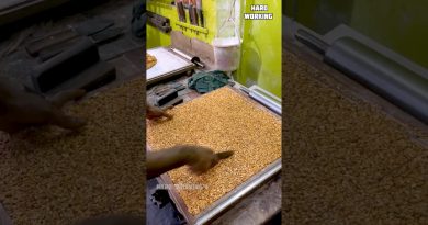 🍯🔥 Fabrication du Kadalai Mittai de Kovilpatti | Chikki aux cacahuètes