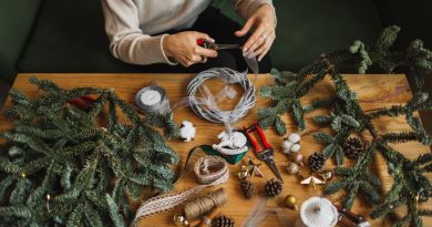Fabriquer pour noël sa déco de maison : couronne, sapin , objets déco avec Carole Leroy de Carole Naturelle - ICI