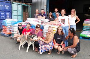 Face à une hausse des abandons d’animaux, des tonnes de "croquettes solidaires" distribuées