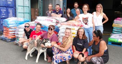 Face à une hausse des abandons d’animaux, des tonnes de "croquettes solidaires" distribuées