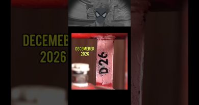 Fait Réel : Ce Que Vous Devez Savoir 😅