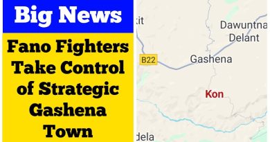 Fano Fighters S'emparent de la Ville Stratégique de Gashena