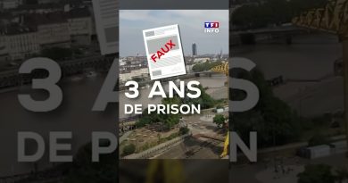 Faux-papiers sur les réseaux : fiches de paie et arrêts maladie