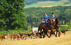 Fête de la Chasse dans le nord Sarthe : le président reste et cherche de nouveaux bénévoles motivés