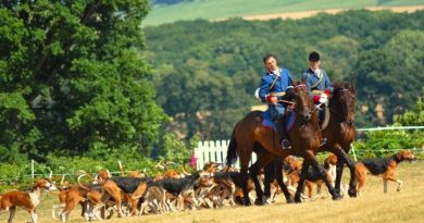 Fête de la Chasse dans le nord Sarthe : le président reste et cherche de nouveaux bénévoles motivés