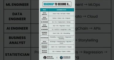 Feuille de route pour les analystes de données 2025