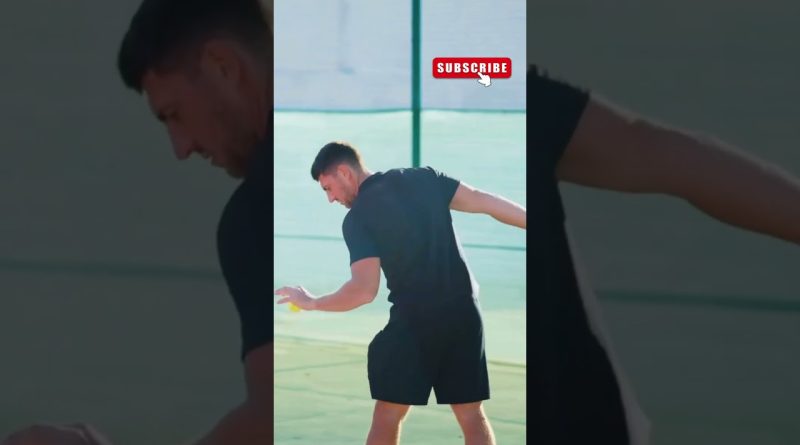 Finale incroyable de Fokina aux Swiss Indoors : double abandon !