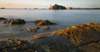 « Finistère » d’Anne Berest : un roman du « nous » détourné par le « je » - L'Humanité