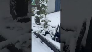 Fontaine de Stiven à l'entrée du magasin sous la neige ❄️