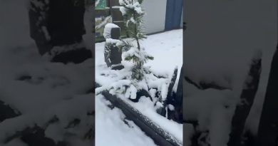 Fontaine de Stiven à l'entrée du magasin sous la neige ❄️