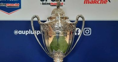 illustration agrandir l