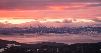 Occitanie, Toulouse, Montpellier, landscape, sea, mountain, vineyard, canal