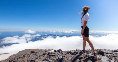Occitanie, Toulouse, Montpellier, landscape, sea, mountain, vineyard, canal
