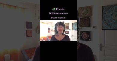 👬 Fratrie : Distinction entre Place et Rôle