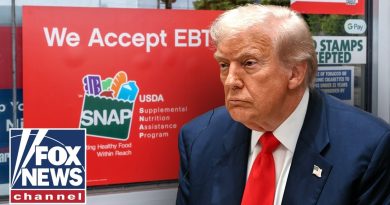 Fraude massive : l'administration Trump alerte sur les abus du SNAP