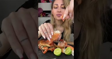 Fruits de mer : un délice à savourer !