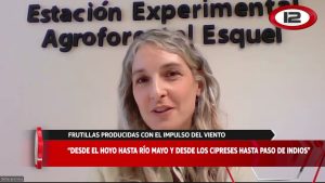 Frutillas du Vent : Production Énergétique Éolienne