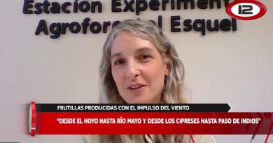 Frutillas du Vent : Production Énergétique Éolienne