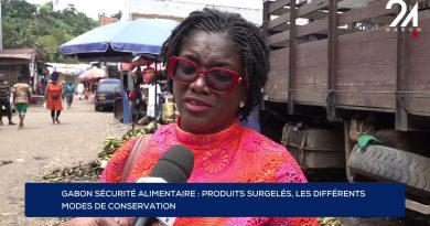 Gabon : Sécurité alimentaire et conservation des surgelés