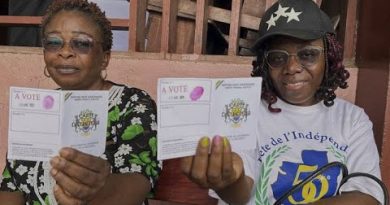 Gabon : le parti au pouvoir décroche un tiers des sièges