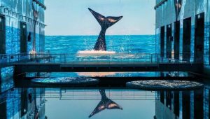 illustration agrandir l