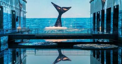 illustration agrandir l