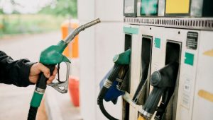 illustration agrandir l