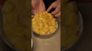 Gâteau Entremet Mousse Mangue et Vanille 💛