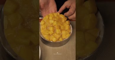 Gâteau Entremet Mousse Mangue et Vanille 💛