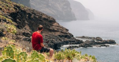 Les coulisses du voyage cover