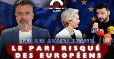 Gel des avoirs russes : un pari risqué pour l'Europe