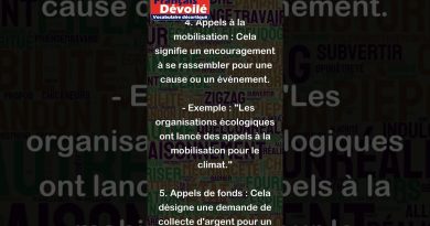 Gestion des Appels : Optimisez vos Communications