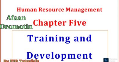 Gestion des Ressources Humaines : Formation et Développement