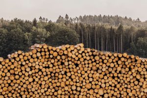 Divisions au sein des institutions de l'UE sur les règles anti-déforestation et report envisagé