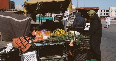 Étiquetage des produits du Sahara occidental : les eurodéputés contestent la décision de la Commission