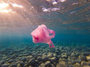 Pollution marine : l'UE impose une limite de déchets sur les fonds marins