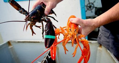 Les États de l'UE soutiennent la suppression des droits de douane sur les produits américains