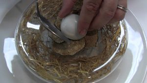 Gilles Goujon, chef 3 étoiles, dévoile son plat signature