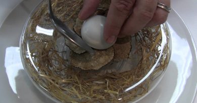 Gilles Goujon, chef 3 étoiles, dévoile son plat signature