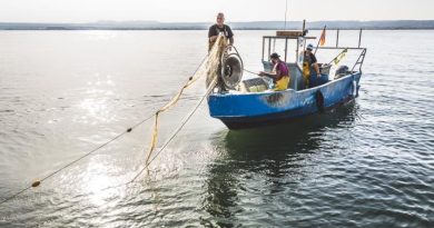 Observatoire du Crabe bleu dans l'étang de Berre : Programmation des captures et actions