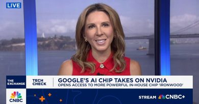 Google dévoile l'accès à son puissant chip IA