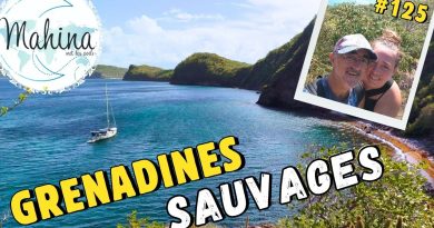 Grenadines Sauvages : Îles, tortues et plages de rêve