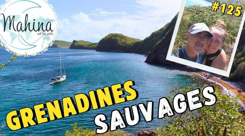 Grenadines Sauvages : Îles, tortues et plages de rêve