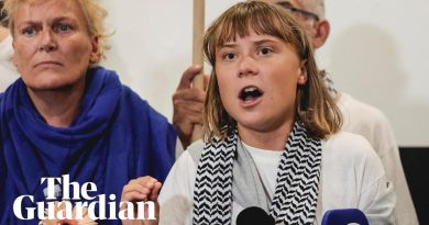 « Greta Thunberg : 'Nos systèmes trahissent les Palestiniens' »